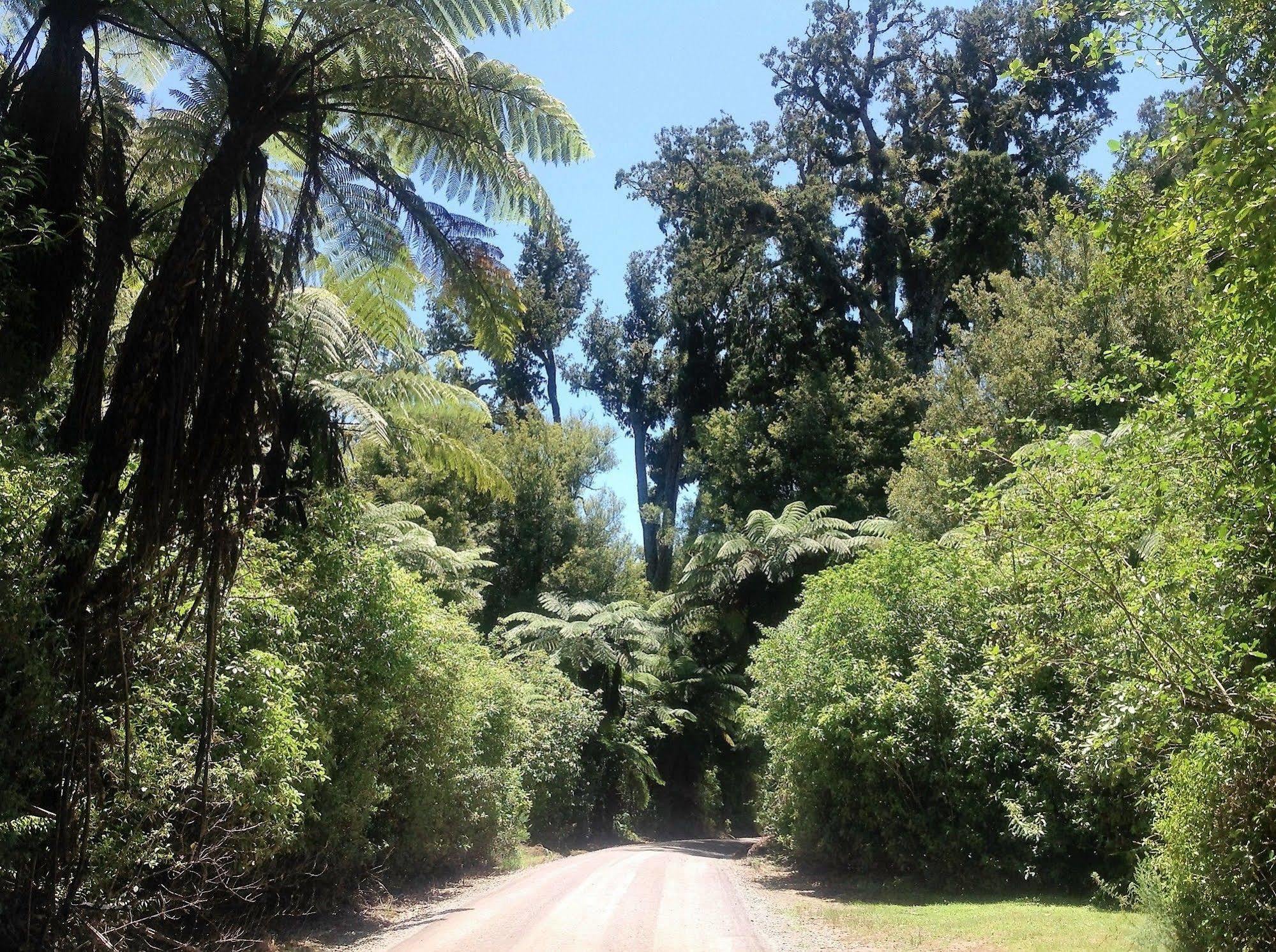 罗灵丘陵乡村住宿加早餐旅馆 陶朗加 外观 照片